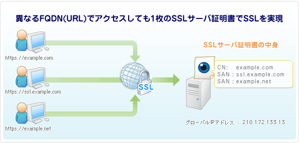 mdomain.gif